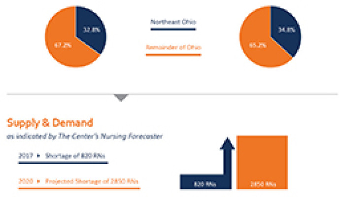 Infographic Illustrates Nursing Workforce & Shortage of Registered Nurses