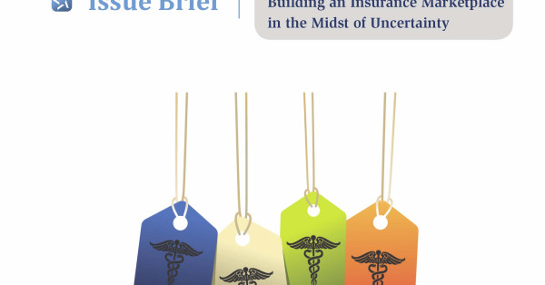 Latest Issue Brief Examines Health Insurance Exchanges