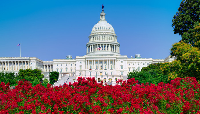 july 2 washington update web